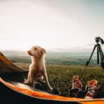 Camping with Your Dog: Tips and Gear Recommendations